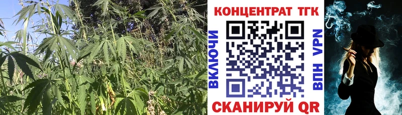 ТГК вейп  Купить  Киселёвск 